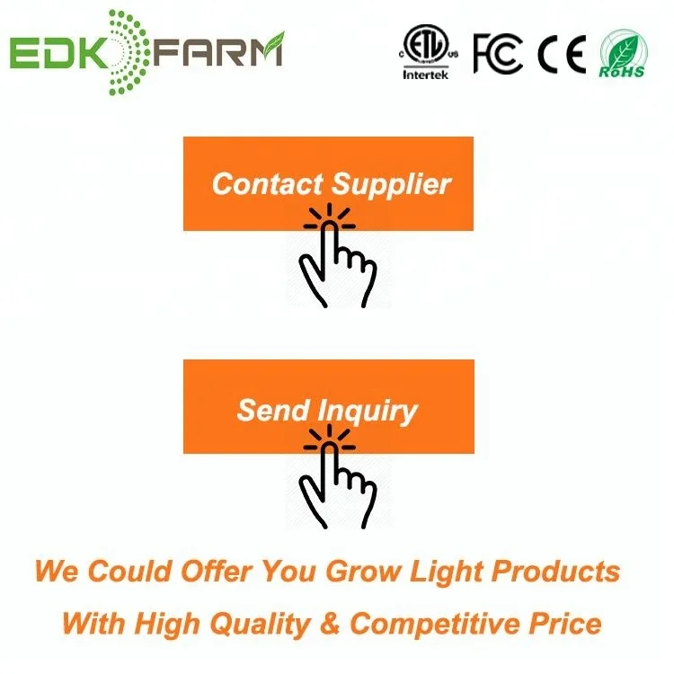 
mini greenhouse kit seedlings pots cutting plant propagation dome trays microgreen tray 