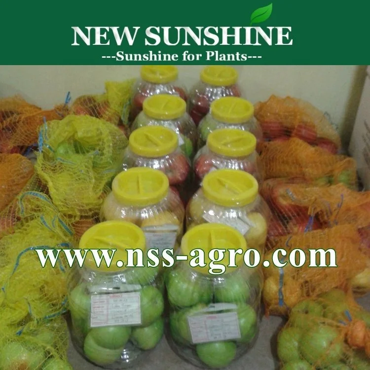 Превосходное качество 1MCP 1-метилциклопропен 1-MCP 1 MCP CAS 3100-04-7