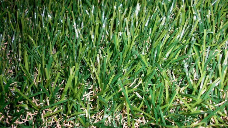 
Hot selling!!! artificial grass tufting machine with high quality 