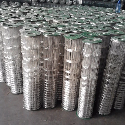 China Factory Quality Hot-dipped Galvanized Welded Wire Standard Mesh