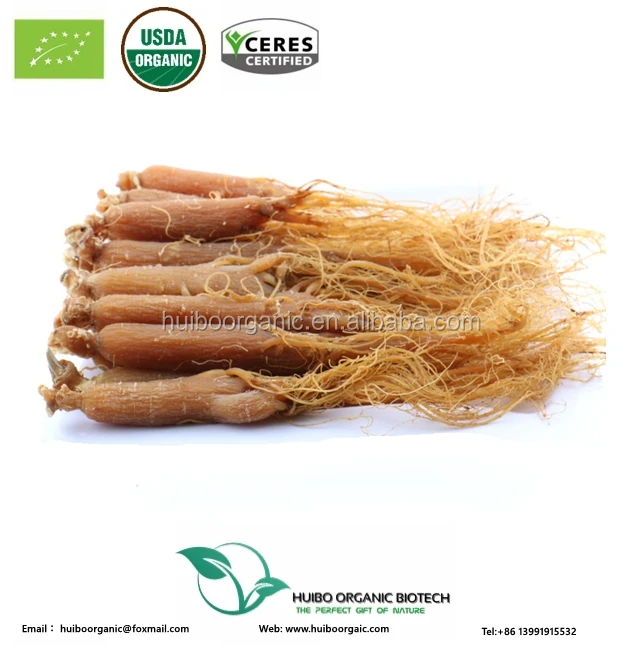  Оптовая продажа сертифицированный корень красного женьшеня в Корее 5 лет по лучшей цене