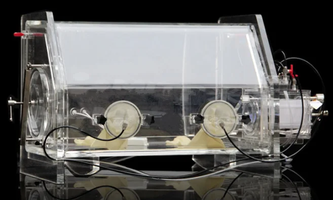 Lab Testing Cheap Price Transparent Vacuum Acrylic Glove Box With Two Gloves