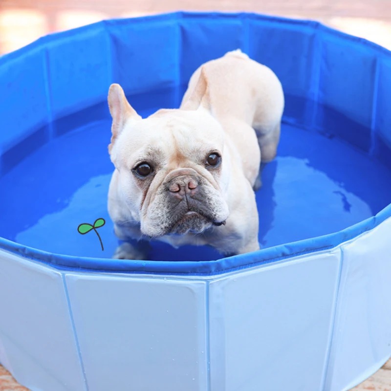 Outdoor Indoor Foldable Dog Pet Bath Pool Collapsible Dog Pet Bathing Tub Dog Grooming Tubs