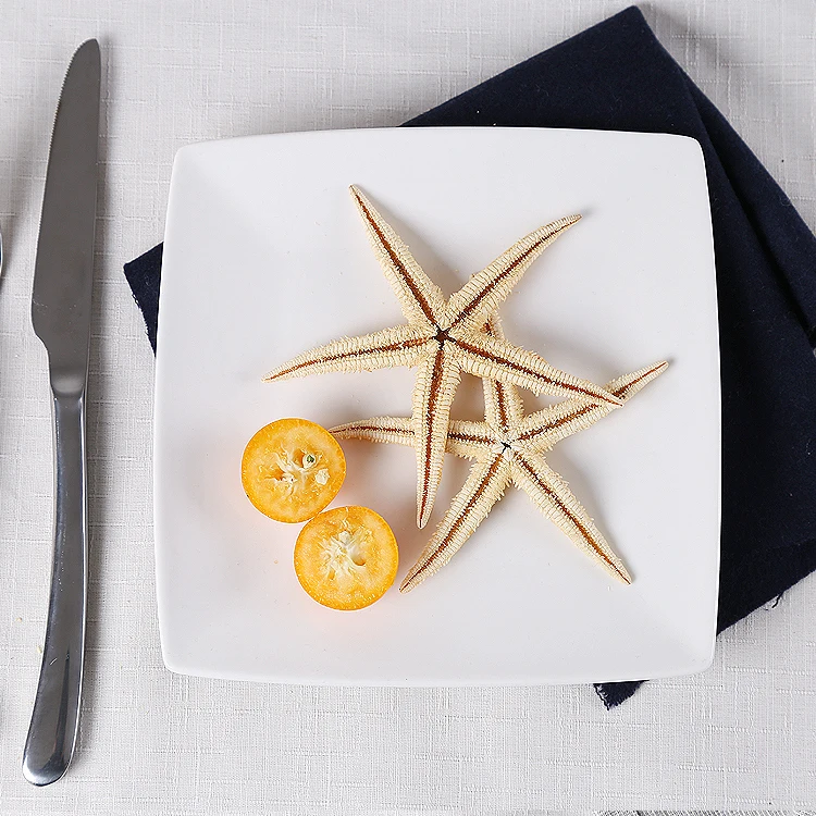 wholesale high quality square Italian ceramic dish