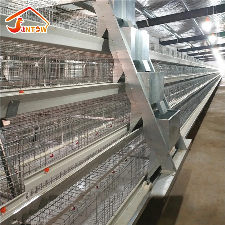 Factory sale battery cages laying hens African automatic chicken cage for 1 day old chicks farm