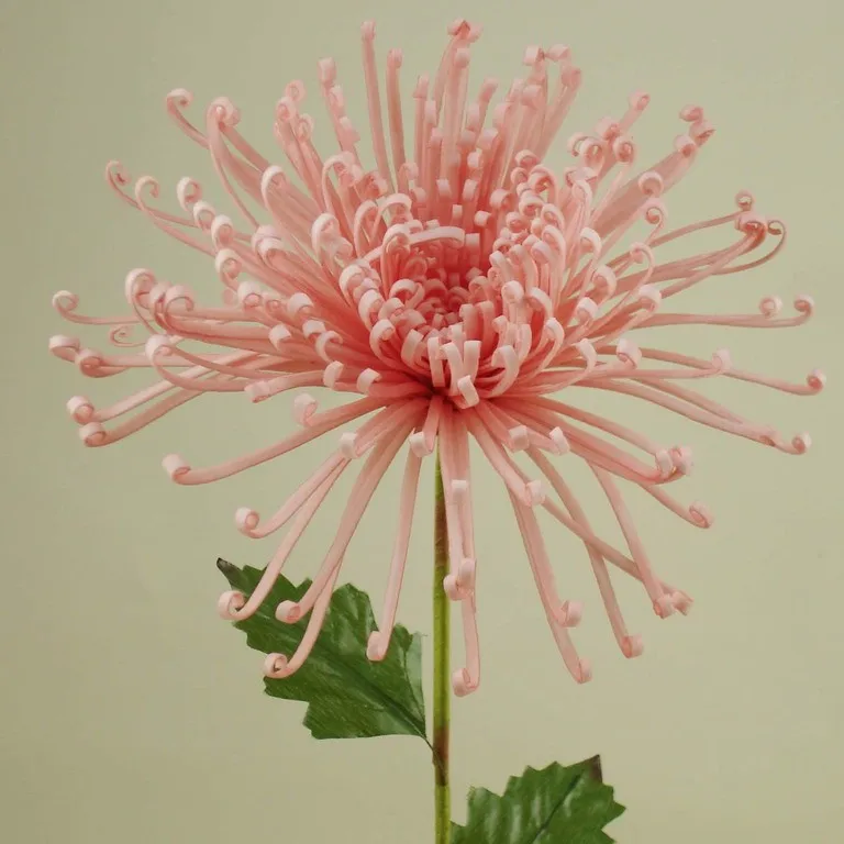 Artificial Foam Fuji Chrysanthemum Mum Pick W/Leaves Foam Flower