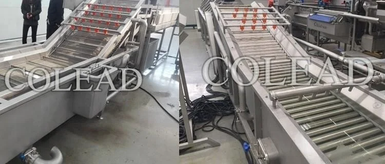 SUS304 stainless steel apple/pear/mango/fruit/vegetable washing/cleaning/processing machine/equipment from Binzhou