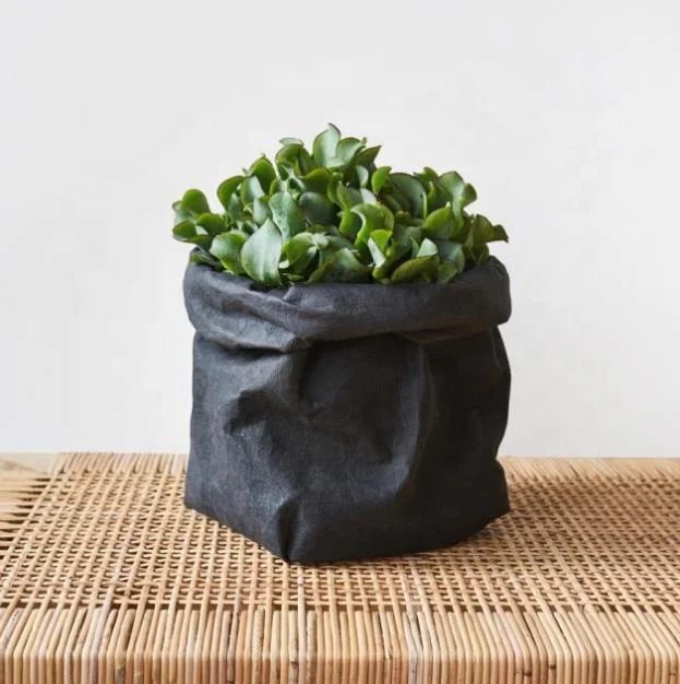Durable flower grow bag washable kraft paper pot planter