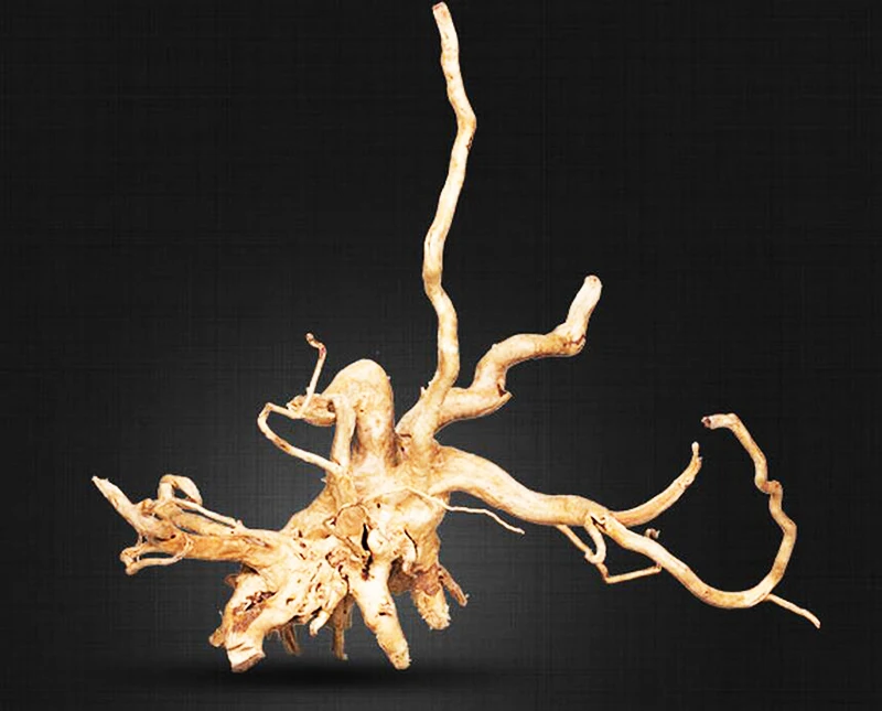 Натуральный водный аквариум NIHAO