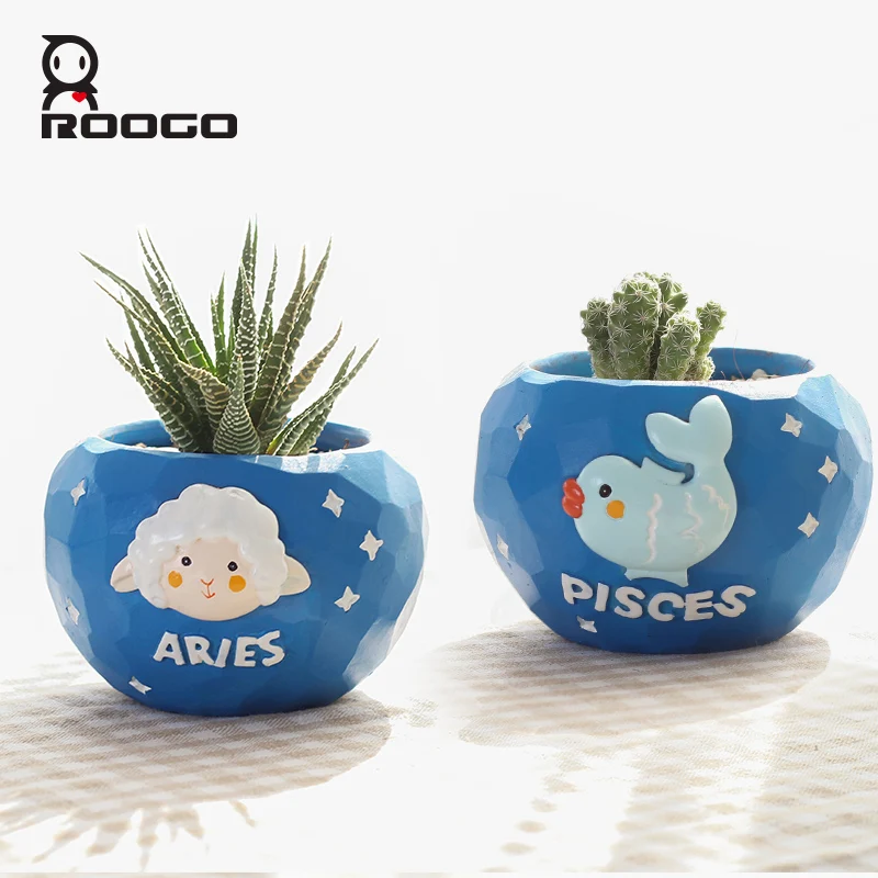 Roogo twelve constellations flower planter pots