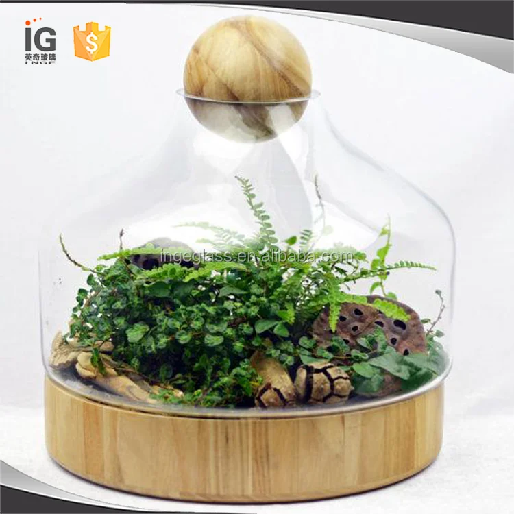 Handmade Glass Terrarium With Wood Base and Ball Lid