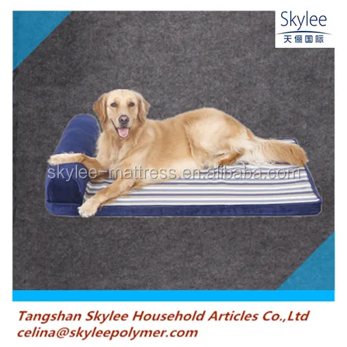 Высокого полимера собака подушке