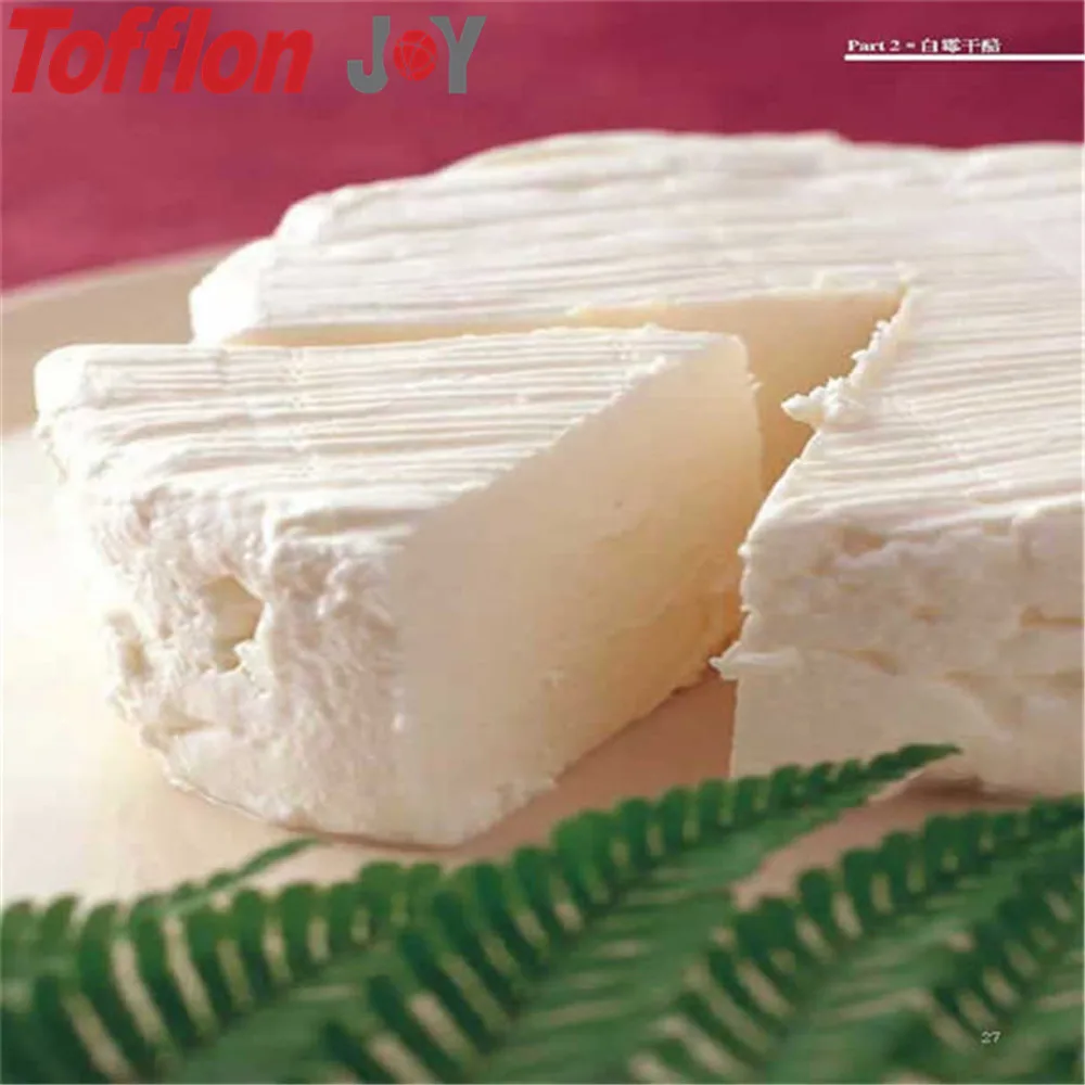 
500L cheese vats for sale 