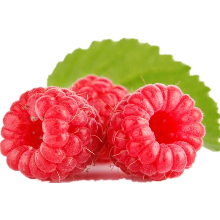  Натуральный Frambuesa Rubus красный Raspberry экстракт плодов для напитка или