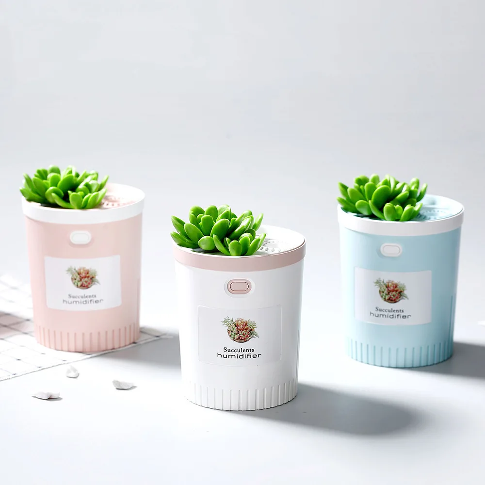 Newly products unique design air succulents humidifier for home decoration or office