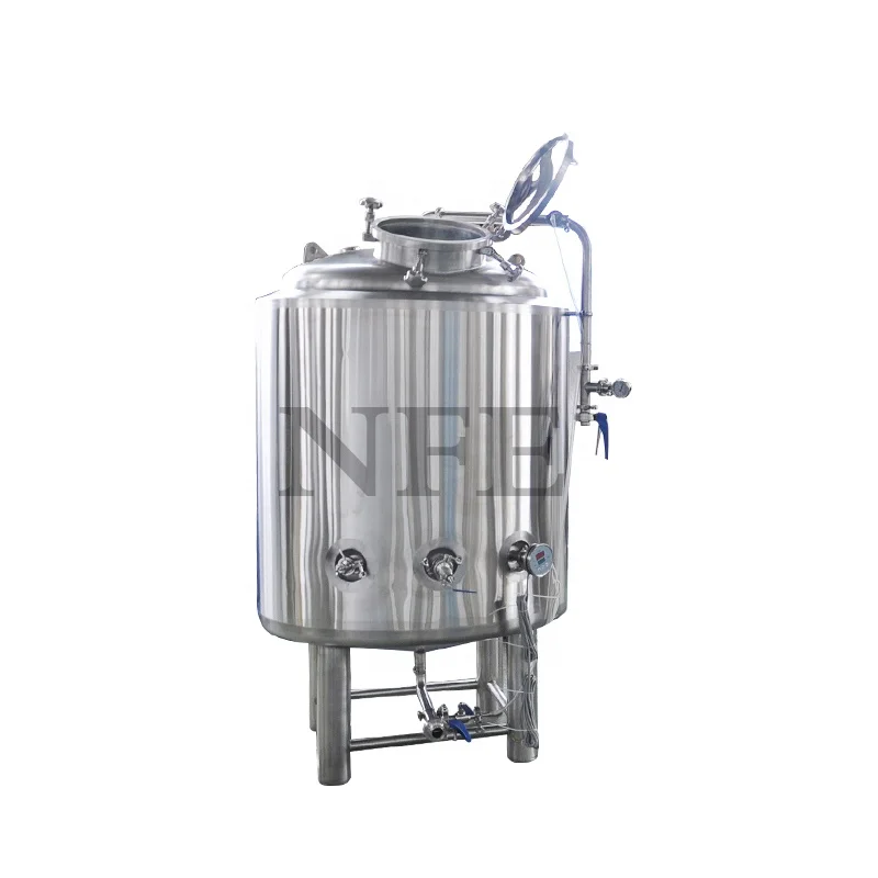 Sanitary Stainless steel beverage juice milk 5bbl 600L beer storage brite tank for sale