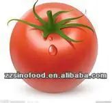 
Canned Food Canned Tomato Paste in Metal Tins Packaging Canned Vegetable 