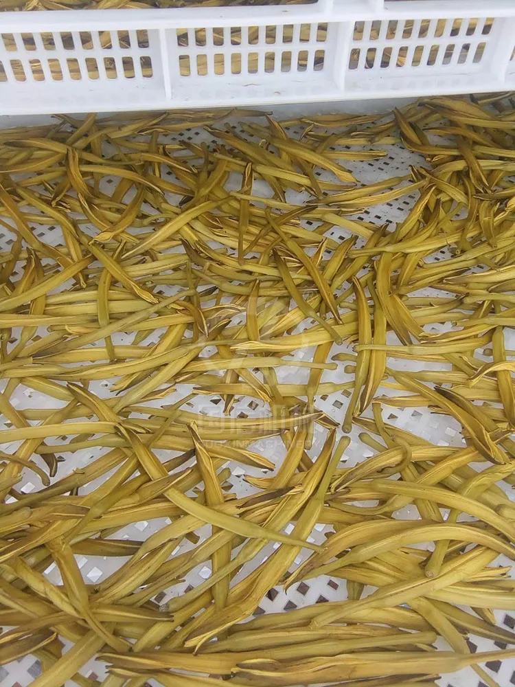 
High Efficiency Electric Hot Air Bamboo Shoots Drying Chamber 