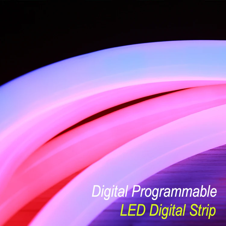 DMX Control SMD 5050 360 Degree SPI Addressable Digital Round LED Neon Flex Rope Light Tube Neon Flex Sign Outdoor