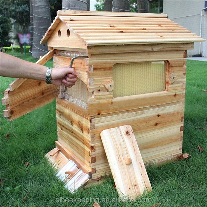 Full Set Artesian beehive With Watching Windows Artesian Bee Hive Honey Artesian Beehive Frames Langstroth Brood Box/super Box