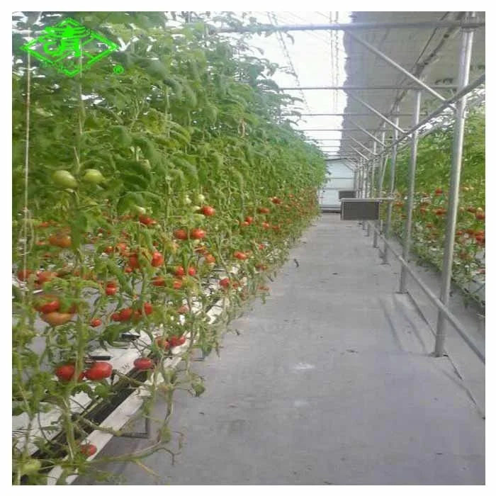 UV Agricultural Plastic Film for Greenhouse planting
