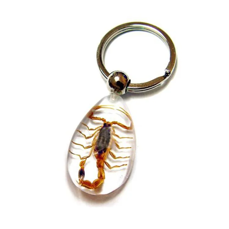 Cool Real Insects Scorpion Resin Specimen Keychain Keyring Custom Make Factory Price Mix Order Promotional Educational Gift