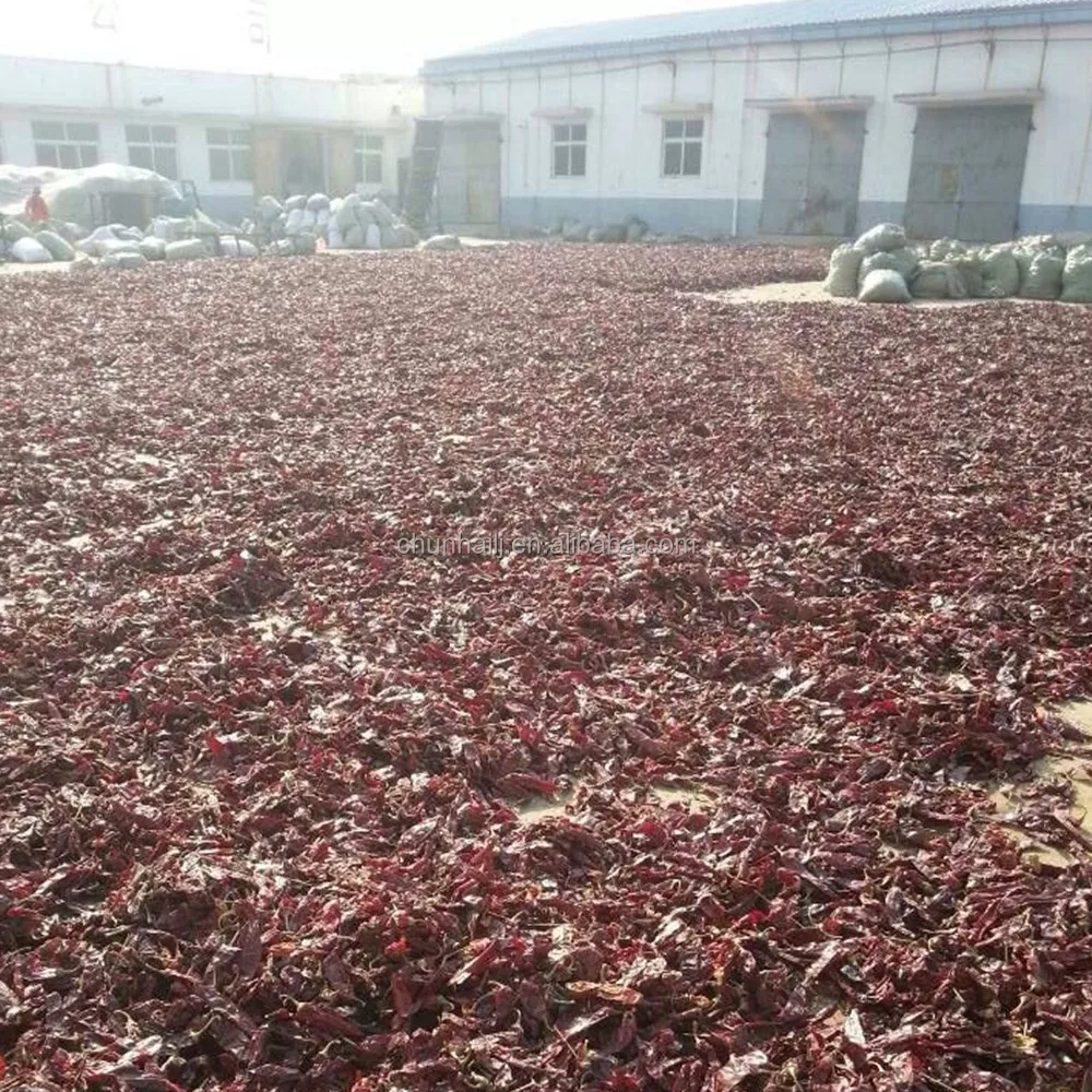 
Hot Selling in Israel, Turkey, Mexico 80-220 ASTA with Stem or Stemless China Factory supplying whole Paprika 