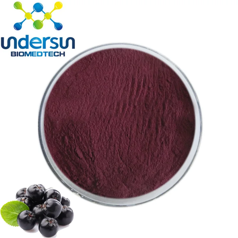 Natural factory supply Organic aronia Powder