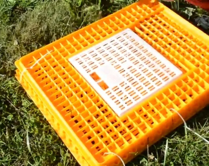 Poultry transportation cage for chickens/ducks/quail crate for sale