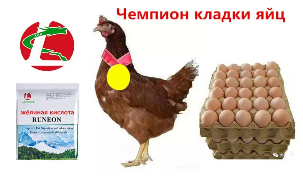 Жёлчная кислота промотирует абсорбции кальции и фосфора,