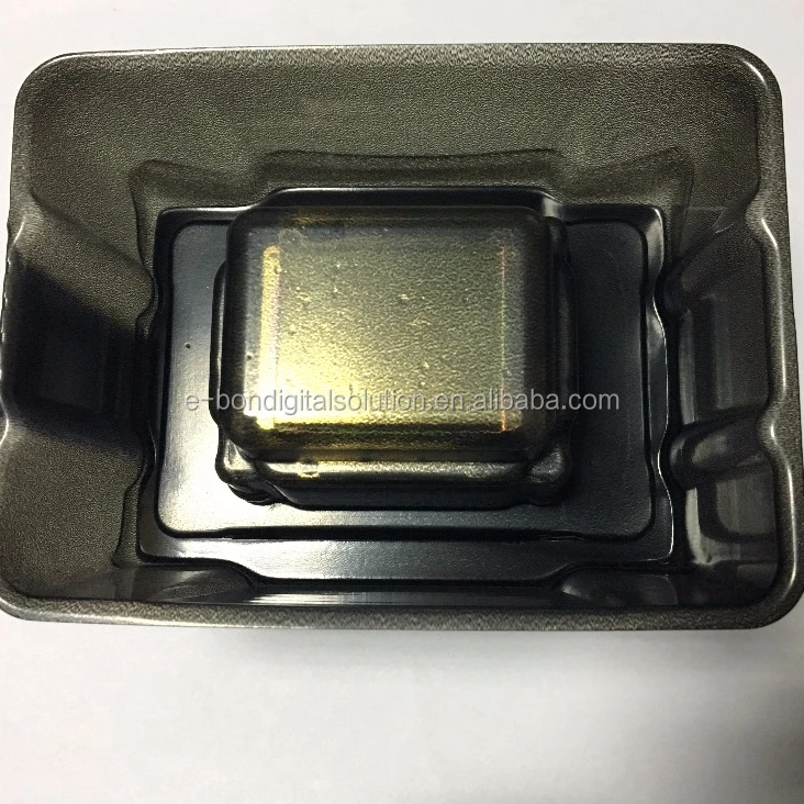 Roland dx7 print head