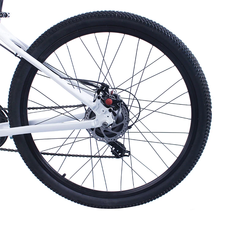 
26 inch Electric Folding Downhill Electric Bicycle 