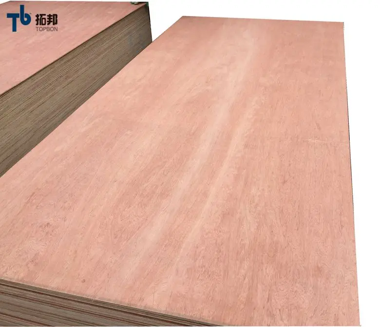 wbp mahogany veneer birch plywood 18mm with good price