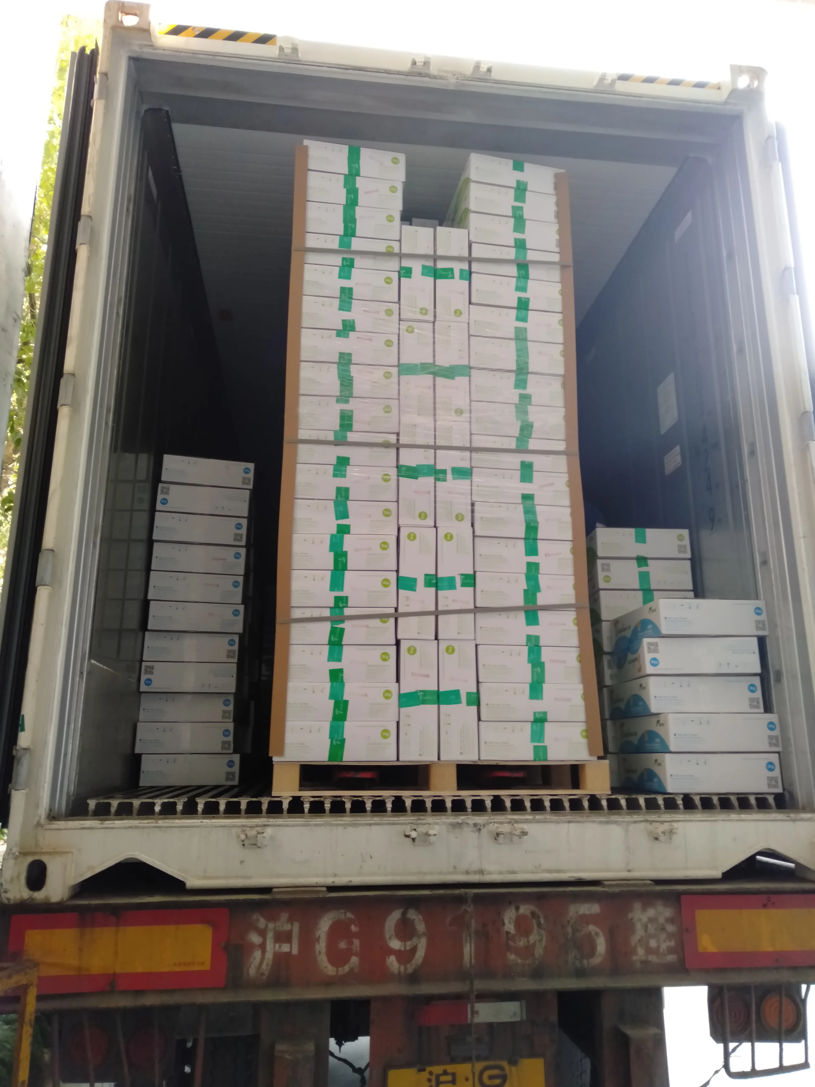 
hatake shimeji mushroom 