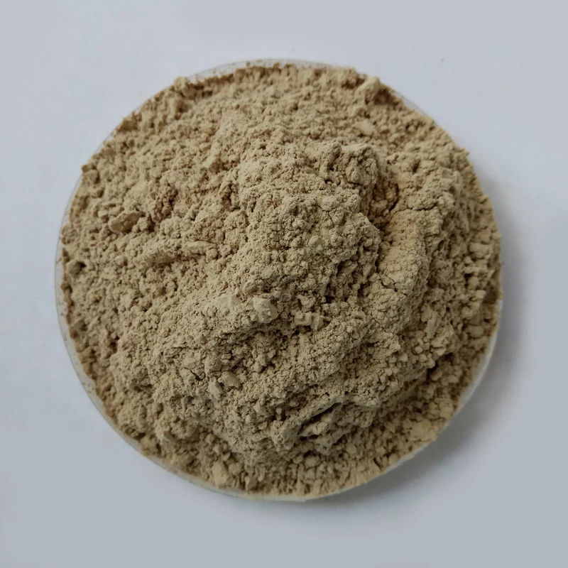 Diatomite Raw Minerals/Diatomaceous Earth/DE