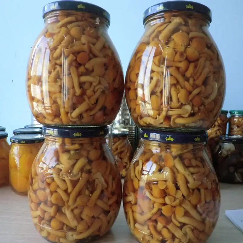 Китайский новый урожай консервы фолиота намеко грибы маринованные для продажи