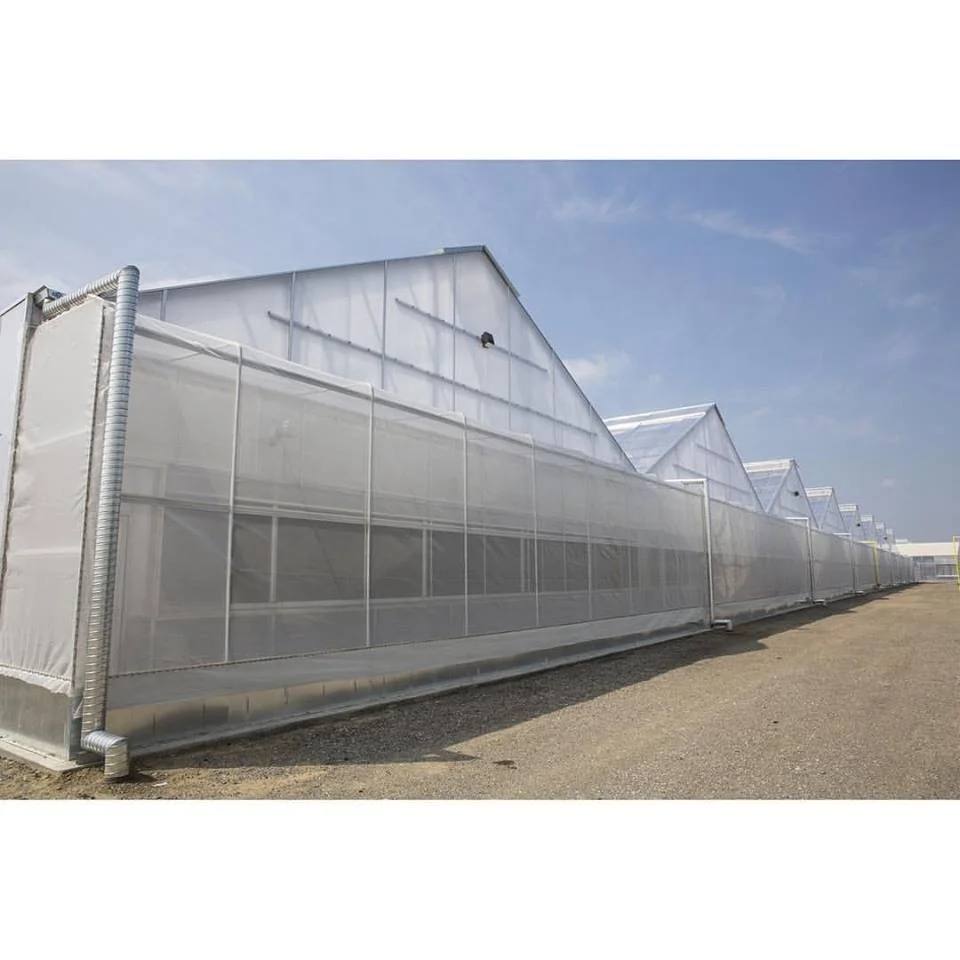 
greenhouse cultivation 