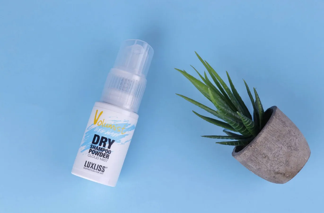 Professional volumist coconut oil dry shampoo volume powder hair mist spray