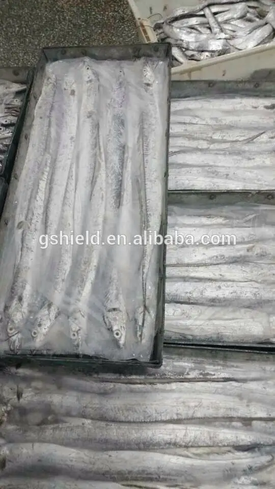 
Fresh frozen seafood Ribbon fish belt fish hairtail in sale 