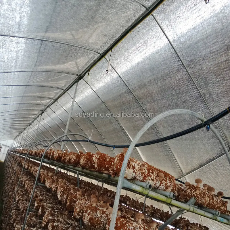 9m Single Tunnel 200 Micron Plastic Film Mushroom Greenhouse