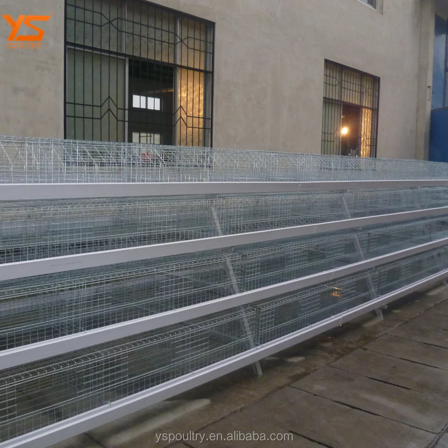 
Design Complete Poultry Chicken Farm Cage for Broiler and Breeder 