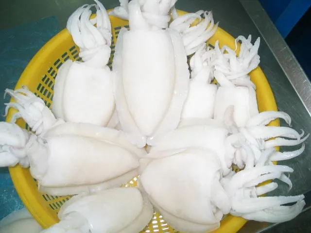  Замороженная детская морская рыба из Вьетнама