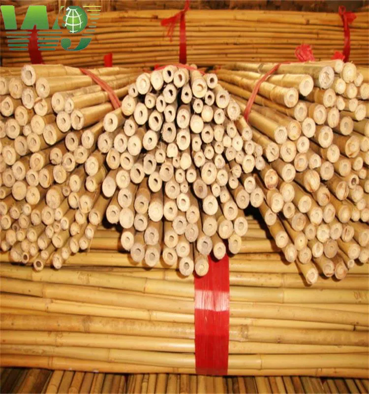 WY T-001 for home adornment natural eco-friendly bamboo reed poles