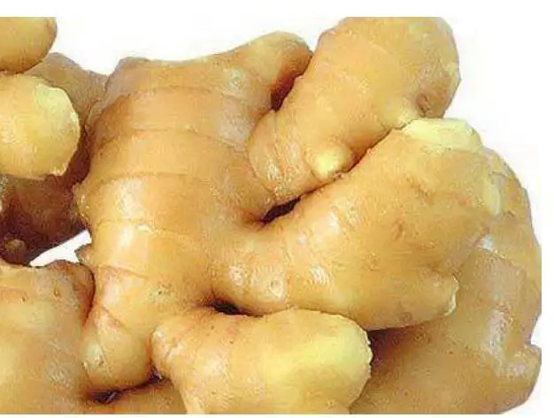 
Sheng jiang natural dried Rhizoma Zingiberis Recens for spice and herb 