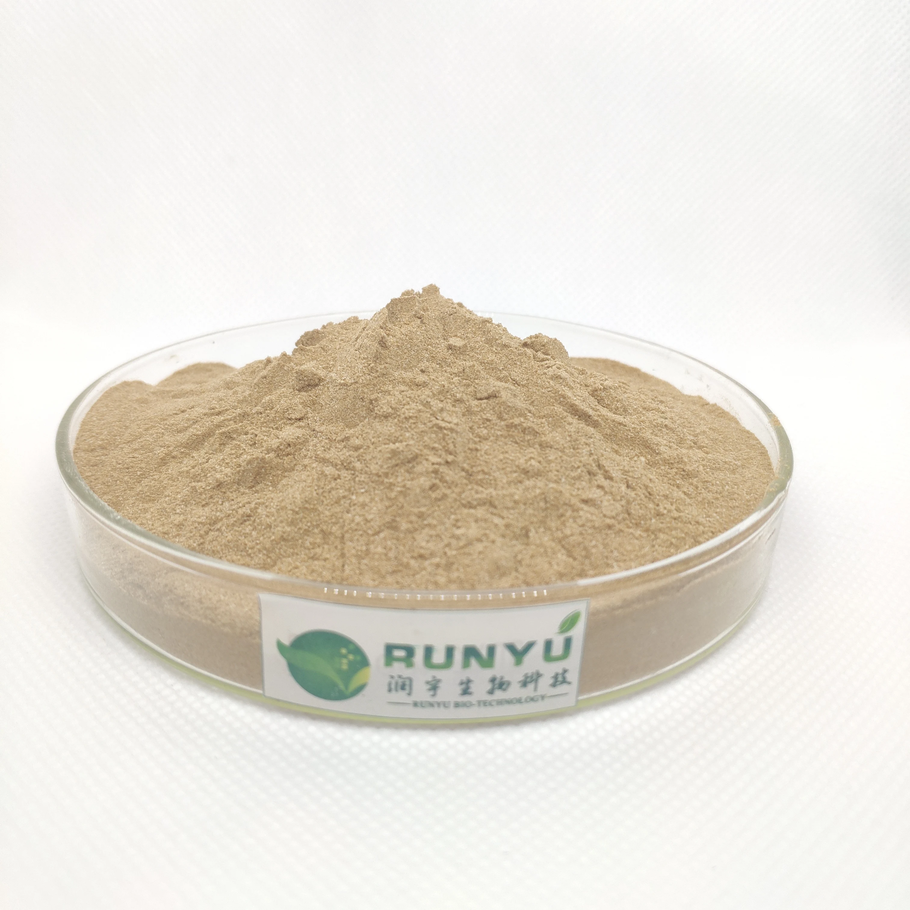 Free sample factory supply 1%~99% huperzine A powder huperzia serrata seed extract/huperzine a Powder