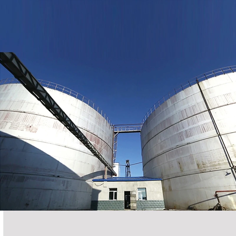 
Professional Instant Dry Yeast saccharomyces cerevisiae Manufacturer bakery Yeast Factory with HACCP,HALAL,ISO,BV Certificate 