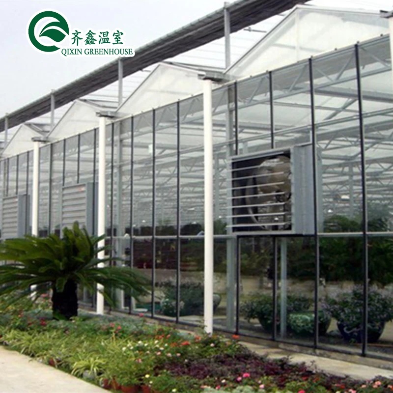 Aquaponic Tomato Galvanized Steel Pipe For Prefabricated PcTent Greenhouse