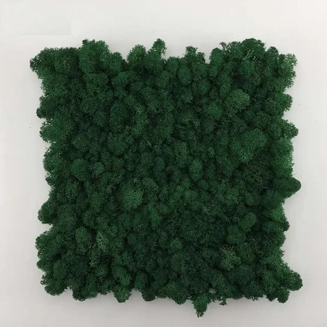 Wholesale decorative moss best quality preserved moss mat for festival wall