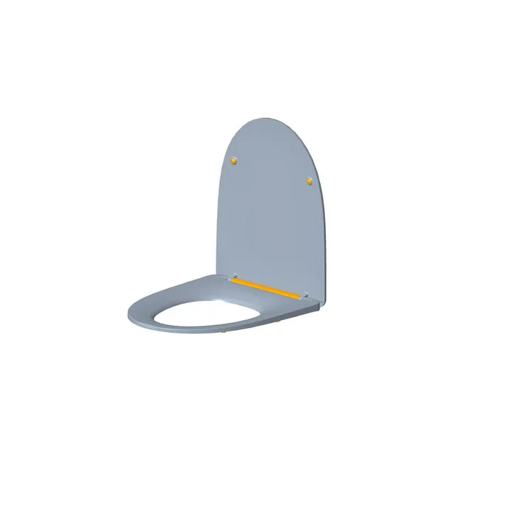 Plastic Toilet Seat Cover Mold