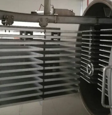 
Vacuum Freeze Drying Machine freeze dryer for sale series for vegetable and fruit Chemical ,Seafood 